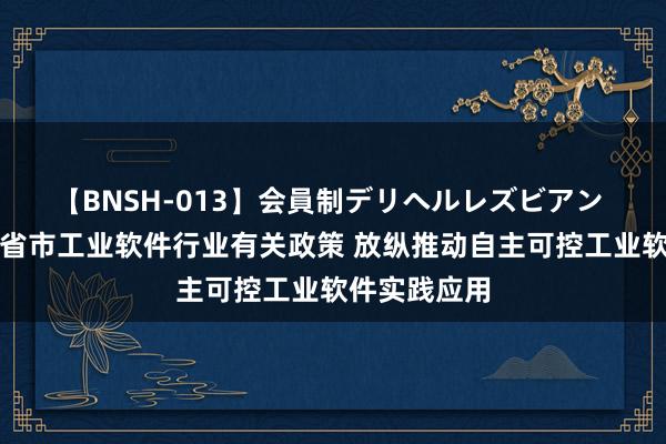 【BNSH-013】会員制デリヘルレズビアン 我国及部分省市工业软件行业有关政策 放纵推动自主可控工业软件实践应用