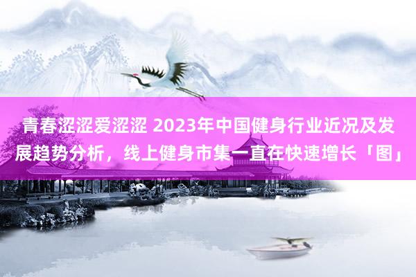 青春涩涩爱涩涩 2023年中国健身行业近况及发展趋势分析，线上健身市集一直在快速增长「图」