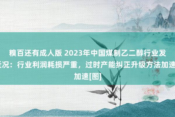 糗百还有成人版 2023年中国煤制乙二醇行业发展近况：行业利润耗损严重，过时产能纠正升级方法加速[图]