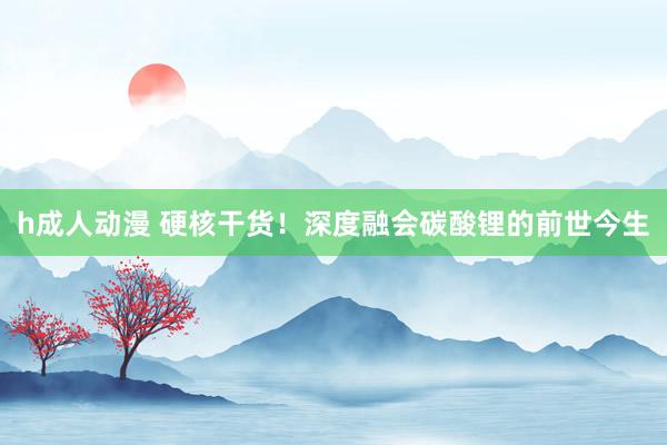 h成人动漫 硬核干货！深度融会碳酸锂的前世今生