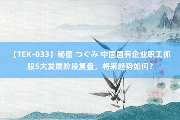 【TEK-033】秘蜜 つぐみ 中国国有企业职工抓股5大发展阶段复盘，将来趋势如何？