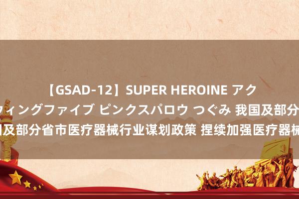 【GSAD-12】SUPER HEROINE アクションウォーズ 超翼戦隊ウィングファイブ ピンクスパロウ つぐみ 我国及部分省市医疗器械行业谋划政策 捏续加强医疗器械考验检测机构开发