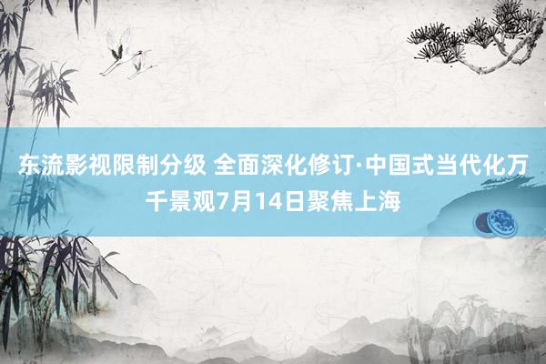 东流影视限制分级 全面深化修订·中国式当代化万千景观7月14日聚焦上海