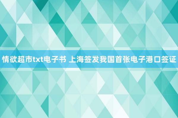 情欲超市txt电子书 上海签发我国首张电子港口签证