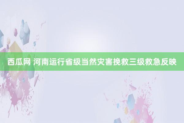 西瓜网 河南运行省级当然灾害挽救三级救急反映