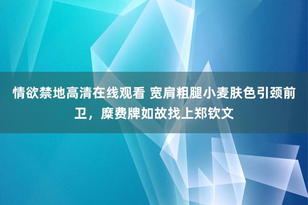 情欲禁地高清在线观看 宽肩粗腿小麦肤色引颈前卫，糜费牌如故找上郑钦文