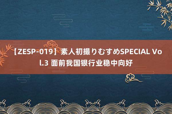 【ZESP-019】素人初撮りむすめSPECIAL Vol.3 面前我国银行业稳中向好