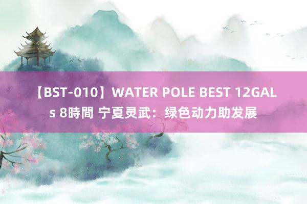 【BST-010】WATER POLE BEST 12GALs 8時間 宁夏灵武：绿色动力助发展