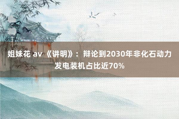 姐妹花 av 《讲明》：辩论到2030年非化石动力发电装机占比近70%