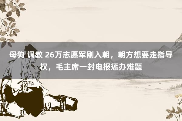 母狗 调教 26万志愿军刚入朝，朝方想要走指导权，毛主席一封电报惩办难题