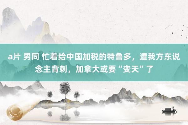 a片 男同 忙着给中国加税的特鲁多，遭我方东说念主背刺，加拿大或要“变天”了