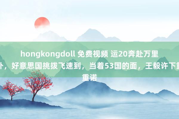 hongkongdoll 免费视频 运20奔赴万里以外，好意思国挑拨飞速到，当着53国的面，王毅许下重诺