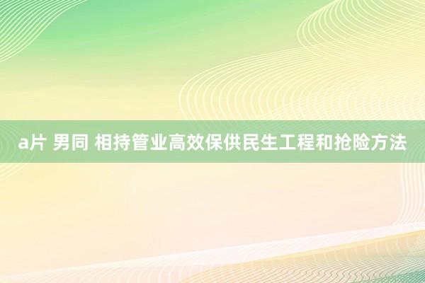 a片 男同 相持管业高效保供民生工程和抢险方法