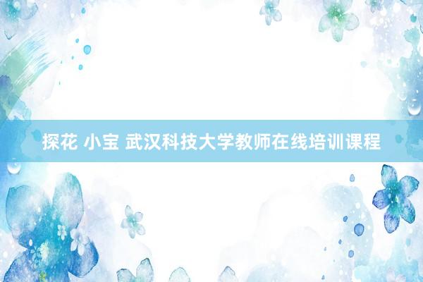 探花 小宝 武汉科技大学教师在线培训课程