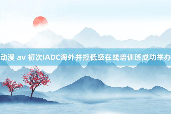 动漫 av 初次IADC海外井控低级在线培训班成功举办