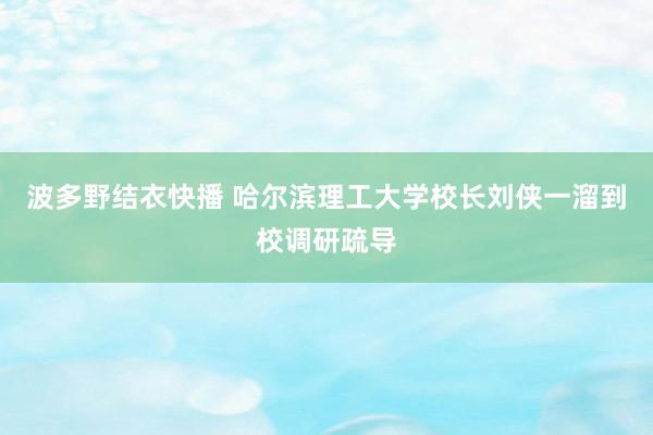 波多野结衣快播 哈尔滨理工大学校长刘侠一溜到校调研疏导