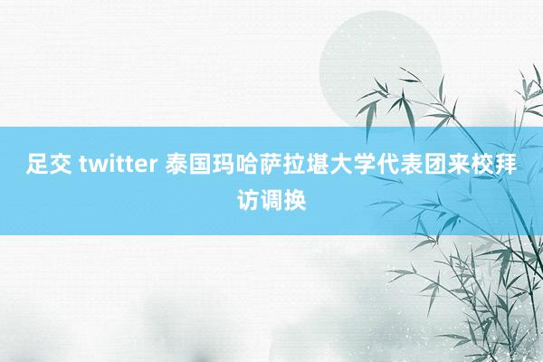 足交 twitter 泰国玛哈萨拉堪大学代表团来校拜访调换