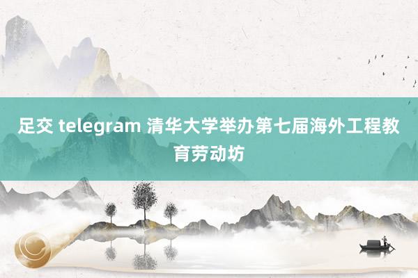 足交 telegram 清华大学举办第七届海外工程教育劳动坊