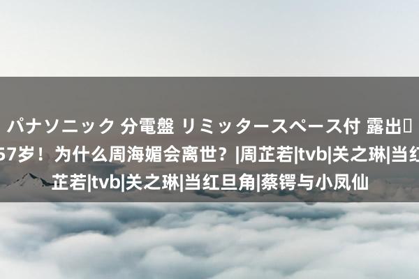 パナソニック 分電盤 リミッタースペース付 露出・半埋込両用形 享年57岁！为什么周海媚会离世？|周芷若|tvb|关之琳|当红旦角|蔡锷与小凤仙